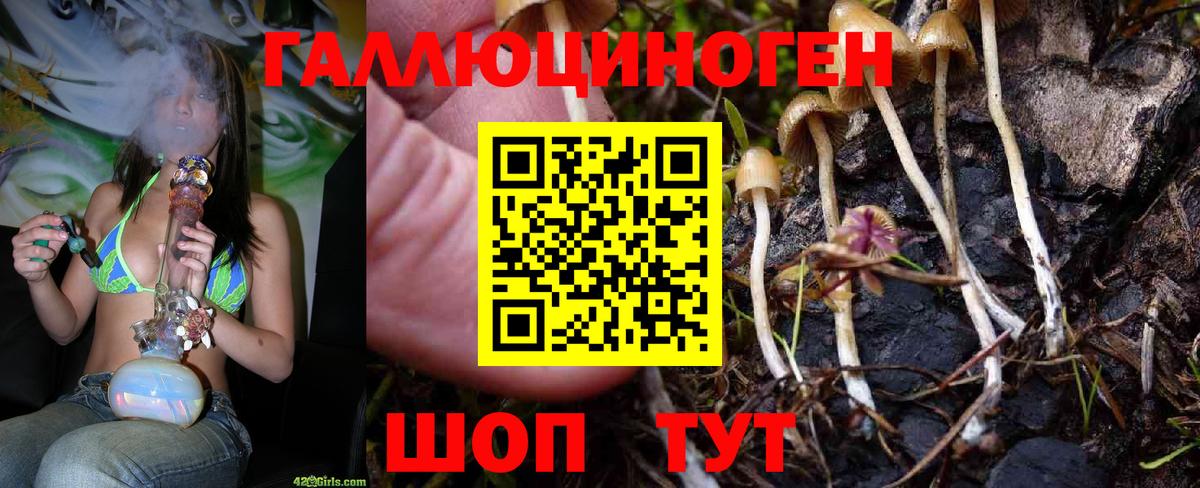 Псилоцибиновые грибы прущие грибы  Вход с VPN  Галлюциногенные грибы Magic Shrooms  Абинск 